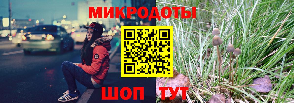 Псилоцибиновые грибы мицелий Вичуга