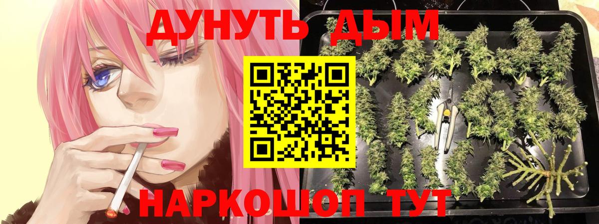 Бошки Шишки марихуана  Канабис OG Kush  Вход с VPN  Вичуга 